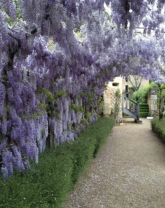 Réservez le Domaine d'Orion pour vos vacances, location modulable de 8 à 20 personnes, proche Sarlat.