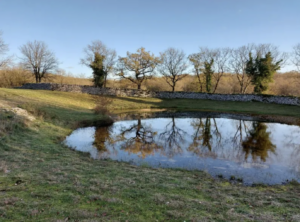 Réservez le Domaine d'Orion pour vos vacances, location modulable de 8 à 20 personnes, proche Sarlat.