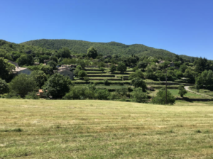 Réservez le Domaine d'Orion pour vos vacances, location modulable de 8 à 20 personnes, proche Sarlat.