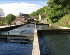 Réservez le Domaine d'Orion pour vos vacances, location modulable de 8 à 20 personnes, proche Sarlat.