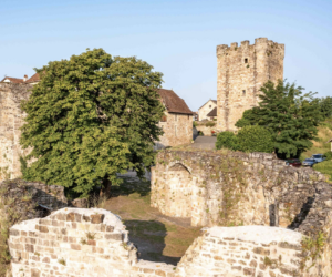 Réservez le Domaine d'Orion pour vos vacances, location modulable de 8 à 20 personnes, proche Sarlat.